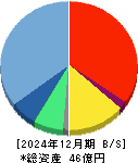 ｉ－ｐｌｕｇ 貸借対照表 2024年12月期