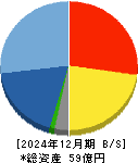 メディックス 貸借対照表 2024年12月期