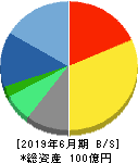 インテリジェント ウェイブ 貸借対照表 2019年6月期 インテリジェント ウェイブ 貸借対照表 2019年6月期