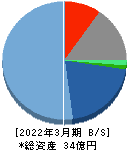 ディジタルメディアプロフェッショナル 貸借対照表 2022年3月期 ディジタルメディアプロフェッショナル 貸借対照表 2022年3月期
