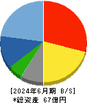 ステムセル研究所 貸借対照表 2024年6月期 ステムセル研究所 貸借対照表 2024年6月期