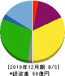 トライアイズ 貸借対照表 2019年12月期 トライアイズ 貸借対照表 2019年12月期