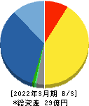 ユビキタスＡＩ 貸借対照表 2022年3月期