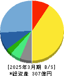 エイジス 貸借対照表 2025年3月期