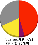 テックファームホールディングス 損益計算書 2021年6月期 テックファームホールディングス 損益計算書 2021年6月期