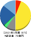 センチュリー21・ジャパン 貸借対照表 2021年3月期 センチュリー21・ジャパン 貸借対照表 2021年3月期