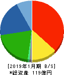 石井表記 貸借対照表 2019年1月期 石井表記 貸借対照表 2019年1月期