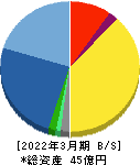 エムティジェネックス 貸借対照表 2022年3月期 エムティジェネックス 貸借対照表 2022年3月期