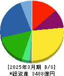 サワイグループホールディングス 貸借対照表 2025年3月期 サワイグループホールディングス 貸借対照表 2025年3月期