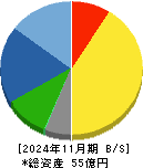 ティムコ 貸借対照表 2024年11月期 ティムコ 貸借対照表 2024年11月期