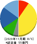 ティムコ 貸借対照表 2020年11月期 ティムコ 貸借対照表 2020年11月期