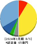 ダブルスタンダード 貸借対照表 2024年3月期 ダブルスタンダード 貸借対照表 2024年3月期