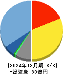 アイビーシー 貸借対照表 2024年12月期