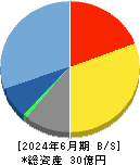 アイビーシー 貸借対照表 2024年6月期
