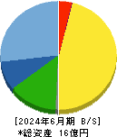 クラスターテクノロジー 貸借対照表 2024年6月期 クラスターテクノロジー 貸借対照表 2024年6月期