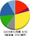 東洋インキSCホールディングス 貸借対照表 2019年12月期 東洋インキSCホールディングス 貸借対照表 2019年12月期