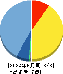 Ｇｅｏｌｏｃａｔｉｏｎ　Ｔｅｃｈｎｏｌｏｇｙ 貸借対照表 2024年6月期