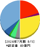 トビラシステムズ 貸借対照表 2024年7月期