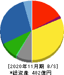 北興化学工業 貸借対照表 2020年11月期 北興化学工業 貸借対照表 2020年11月期