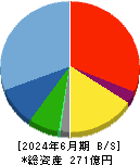 ウェルネット 貸借対照表 2024年6月期