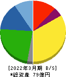 テイン 貸借対照表 2022年3月期 テイン 貸借対照表 2022年3月期