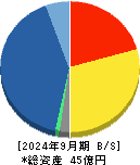 ＩＡＣＥトラベル 貸借対照表 2024年9月期