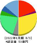 日本情報クリエイト 貸借対照表 2022年6月期
