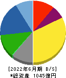 理研ビタミン 貸借対照表 2022年6月期