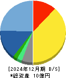 セカンドサイトアナリティカ 貸借対照表 2024年12月期 セカンドサイトアナリティカ 貸借対照表 2024年12月期