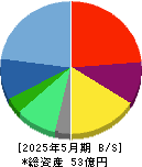 トリプルアイズ 貸借対照表 2025年5月期