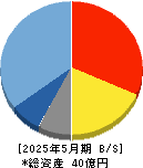 チームスピリット 貸借対照表 2025年5月期