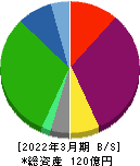 ＡＩＡＩグループ 貸借対照表 2022年3月期