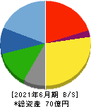 サイタホールディングス 貸借対照表 2021年6月期