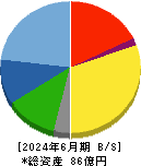 サイタホールディングス 貸借対照表 2024年6月期