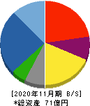サンケイ化学 貸借対照表 2020年11月期 サンケイ化学 貸借対照表 2020年11月期