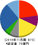 サンケイ化学 貸借対照表 2019年11月期 サンケイ化学 貸借対照表 2019年11月期