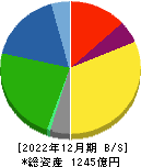 特種東海製紙 貸借対照表 2022年12月期