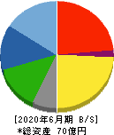 サイタホールディングス 貸借対照表 2020年6月期