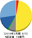 リプロセル 貸借対照表 2019年3月期 リプロセル 貸借対照表 2019年3月期