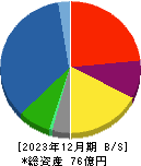 ネポン 貸借対照表 2023年12月期 ネポン 貸借対照表 2023年12月期