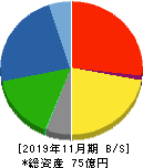 川崎地質 貸借対照表 2019年11月期 川崎地質 貸借対照表 2019年11月期