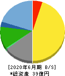 タウンニュース社 貸借対照表 2020年6月期 タウンニュース社 貸借対照表 2020年6月期