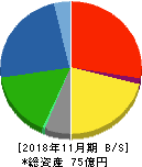 川崎地質 貸借対照表 2018年11月期