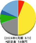 タウンニュース社 貸借対照表 2024年6月期 タウンニュース社 貸借対照表 2024年6月期