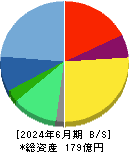 ＧＭＯグローバルサイン・ホールディングス 貸借対照表 2024年6月期