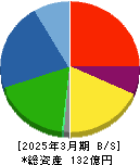 ケミプロ化成 貸借対照表 2025年3月期
