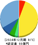 ダブルスタンダード 貸借対照表 2024年12月期