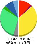 ブロードリーフ 貸借対照表 2019年12月期 ブロードリーフ 貸借対照表 2019年12月期