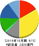 ハイレックスコーポレーション 貸借対照表 2019年10月期 ハイレックスコーポレーション 貸借対照表 2019年10月期