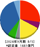 飛島ホールディングス 貸借対照表 2024年9月期